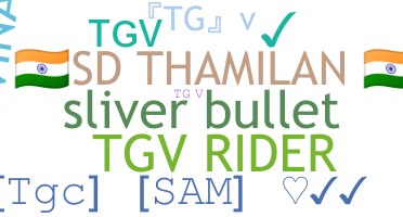 Smeknamn - TGV