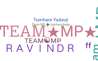 Smeknamn - TeamMP