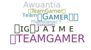 Smeknamn - TeamGamer