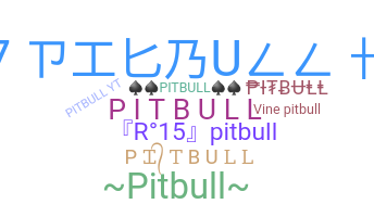 Smeknamn - PitBull