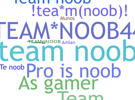 Smeknamn - TeamNoob