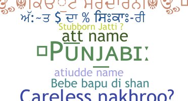 Smeknamn - Punjabi