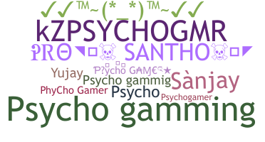 Smeknamn - PsychoGamer
