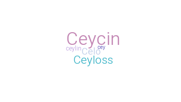 Smeknamn - Ceylin