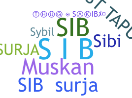 Smeknamn - SiB