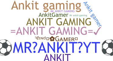 Smeknamn - AnkitGaming