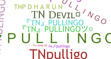 Smeknamn - TNpullingo
