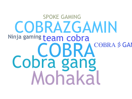 Smeknamn - CobraGang