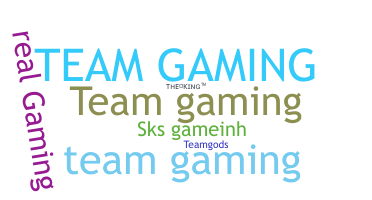 Smeknamn - TeamGaming