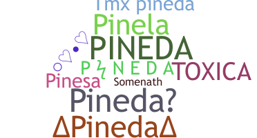 Smeknamn - Pineda