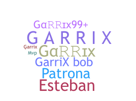 Smeknamn - Garrix