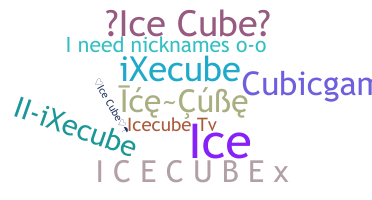 Smeknamn - icecube