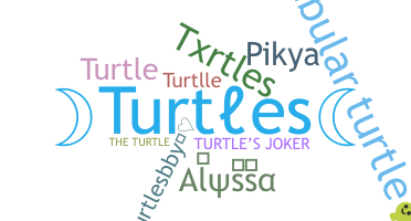 Smeknamn - Turtles